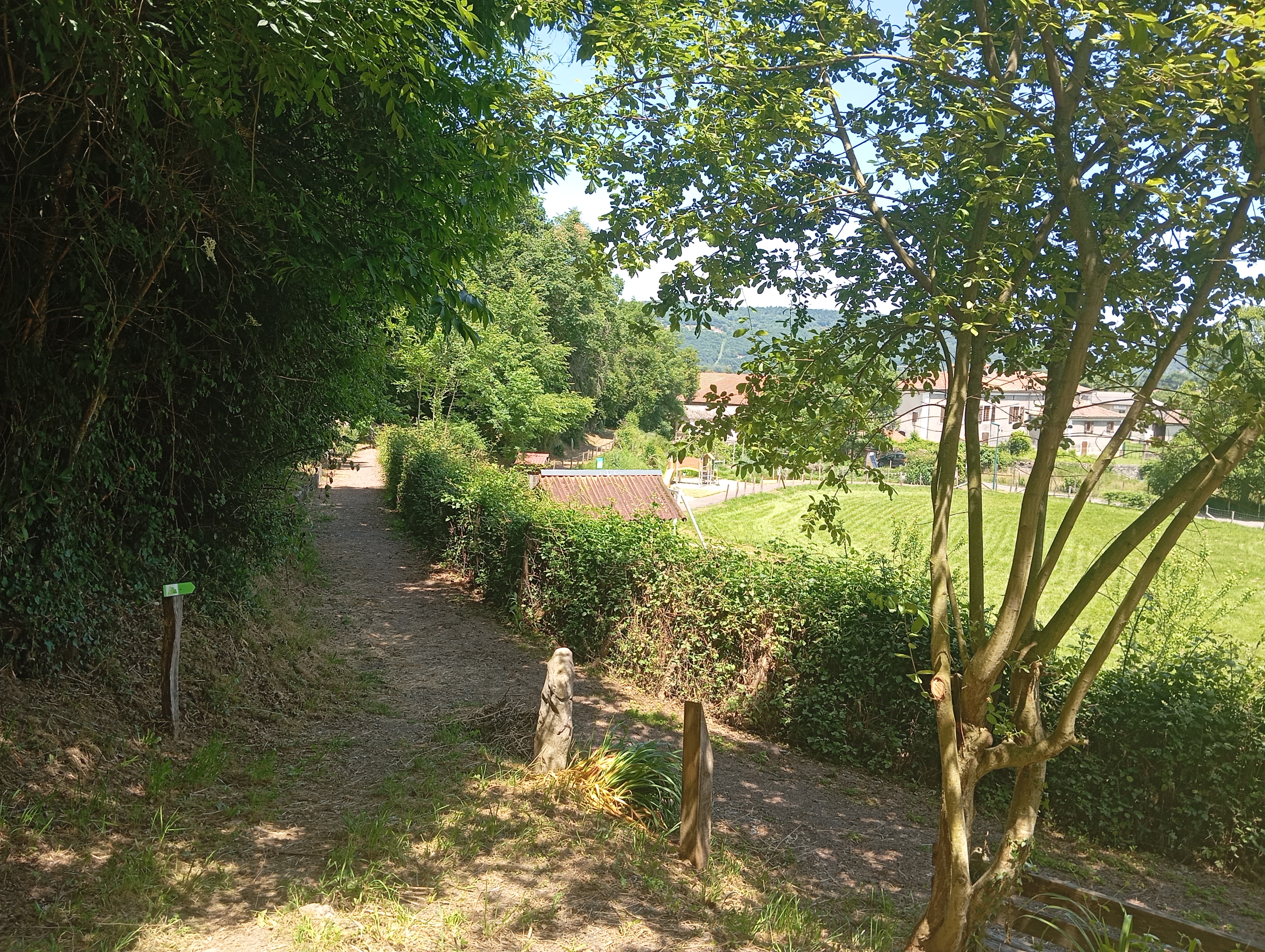 le chemin