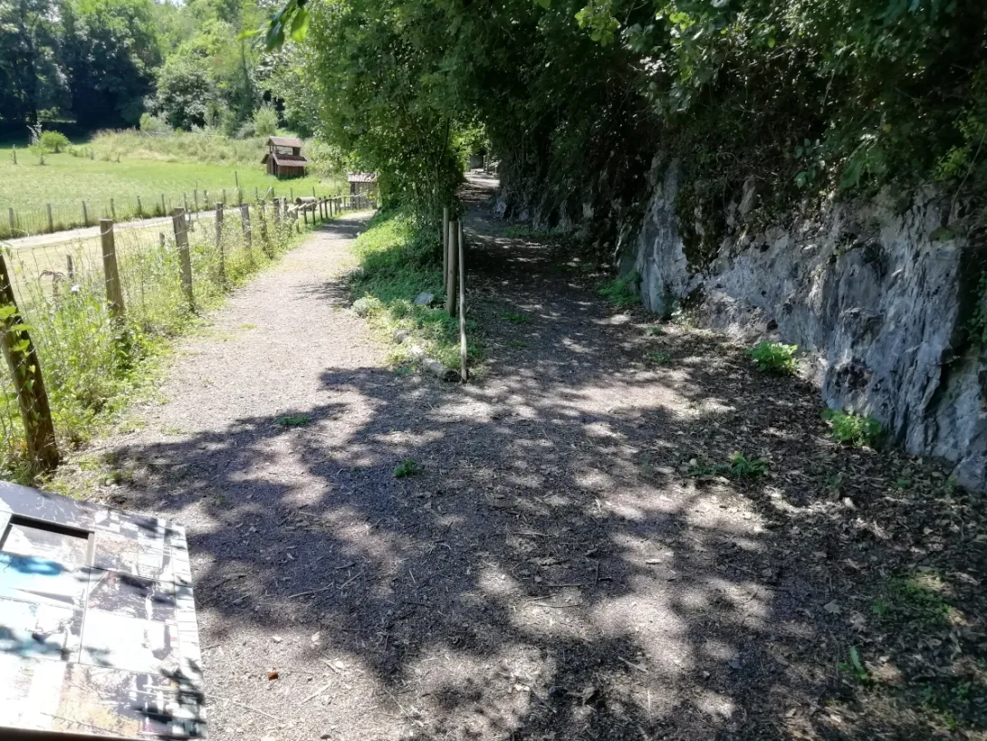 le chemin