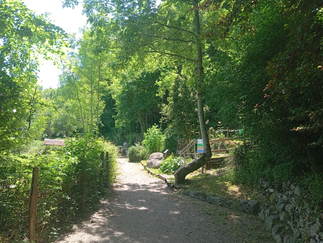 le chemin