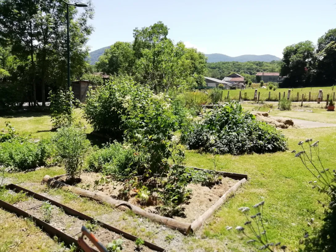 Le jardin botanique