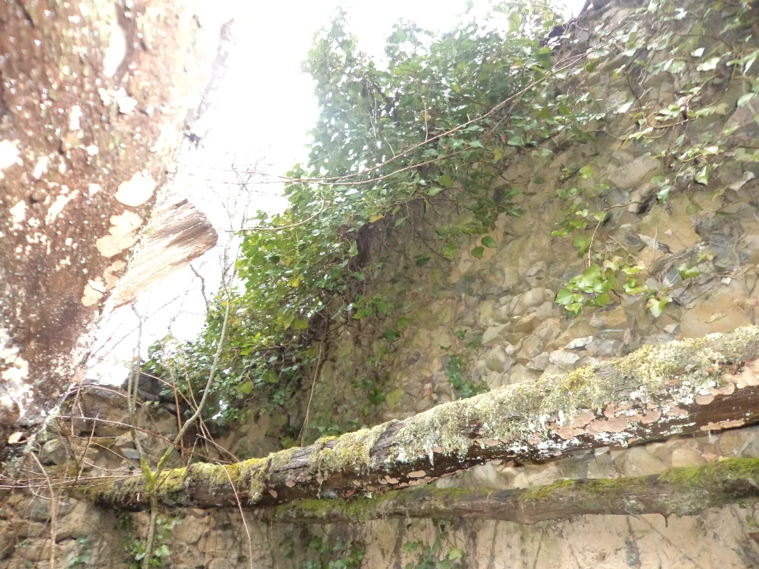 Grange avant restauration