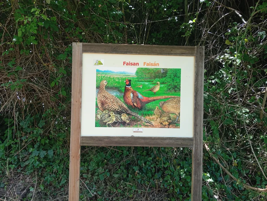 le chemin